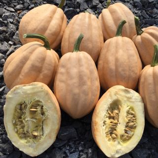 Baked Potatoes Winter Squash Thumbnail